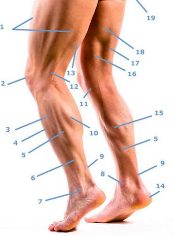 Schmerzen Am Beinknochen Arzt Tipps Fusse Schmerzen Am Beinknochen Arzt Tipps Fusse