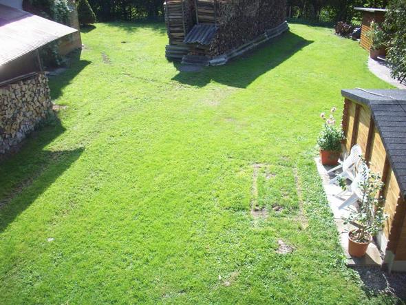 wie bekomme ich dieses Jahr endlich einen wunderschönen Rasen (Garten)