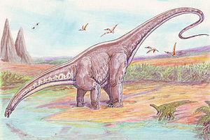 Brontosaurus - (Wissen, Dinosaurier, Kreidezeit)