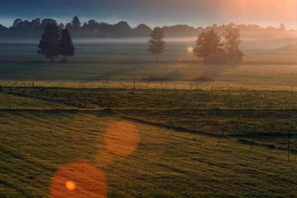 Blendenflecken - (Fotografie, Sonne)