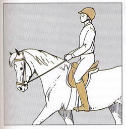 Richtiger Sitz  - (Pferd, Reiten, Haltung)