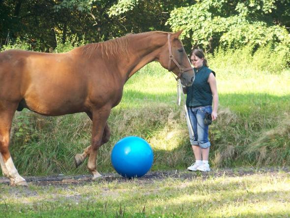 Ulixes - (Sport, Fußball, Pferde)
