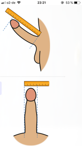 Ein wie penis gemessen wird Die Penisdicke