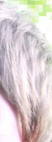 Das "normale" - (Haare, Haarfarbe)