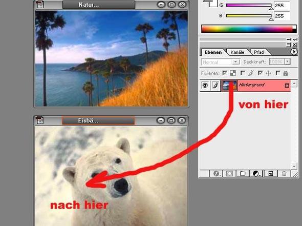 Ebenen verschieben - (Foto, Photoshop)