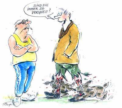 tolleranz kennt keine grenzen - (Hund, Wald, Leinenpflicht)