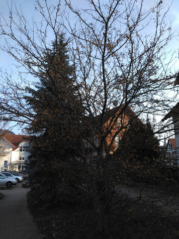 Bild zum Beitrag