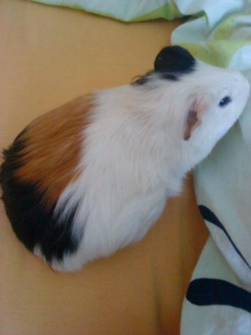 woran erkennt man ob man schwanger ist