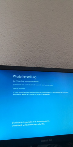 Bild zum Beitrag