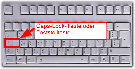 Bild zum Beitrag