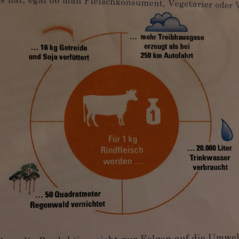 Ein kleines Beispiel, was Fleischkonsum für eine Auswirkung haben kann - (Gesundheit, Ernährung, Umwelt)