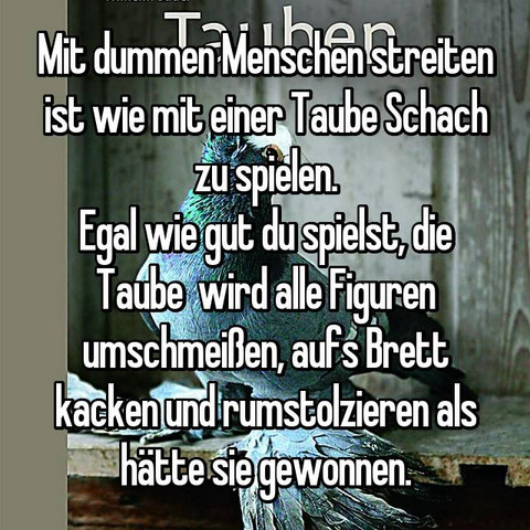 Macht Die Erziehung Der Kluegere Gibt Nach Ein Kind Zum