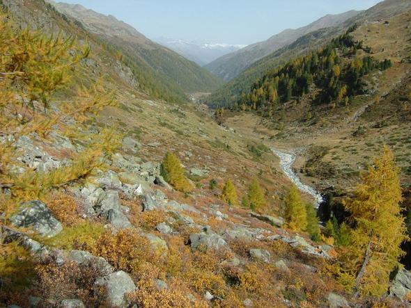 Turtmanntal - (wandern, Berge, klettern)