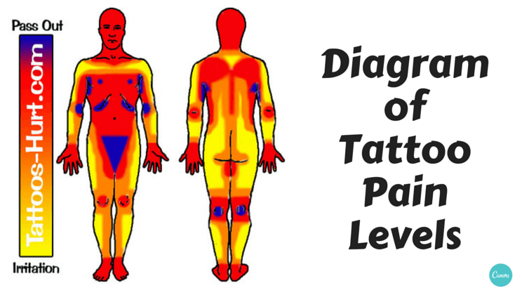 Schmerzen Dieser 4 Tattoos K rper Tattoo Tattoostudio schmerzen-dieser-4-tattoos-k-rper-tattoo-tattoostudio