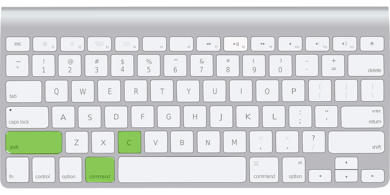 Sims 4, Screenshot statt Cheat? Technik, Spiele und Gaming)