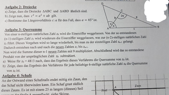 Bild zum Beitrag