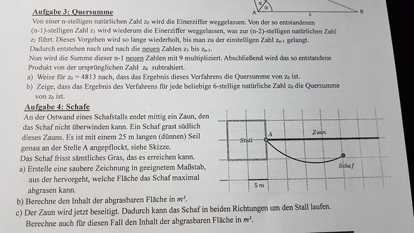 Bild zum Beitrag