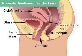Es Gibt Doch Fur Das Tapon Ein Extra Loch Oder Periode Tampon Es Gibt Doch Fur Das Tapon Ein Extra Loch Oder Periode Tampon
