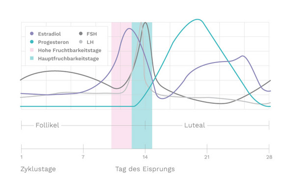 Periode Wann Kommt Der Hormonabfall Gesundheit Und Medizin