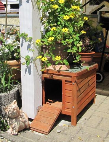 Garten Katzen sicher machen // Katzen paradies!? (Sicherheit)