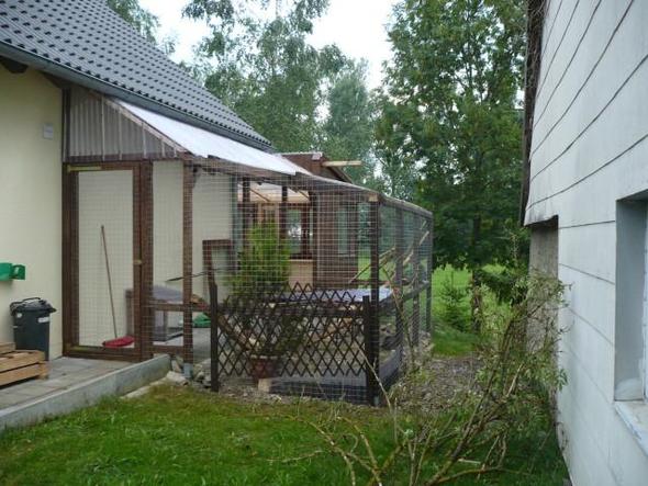 Garten Katzen sicher machen // Katzen paradies!? (Sicherheit)