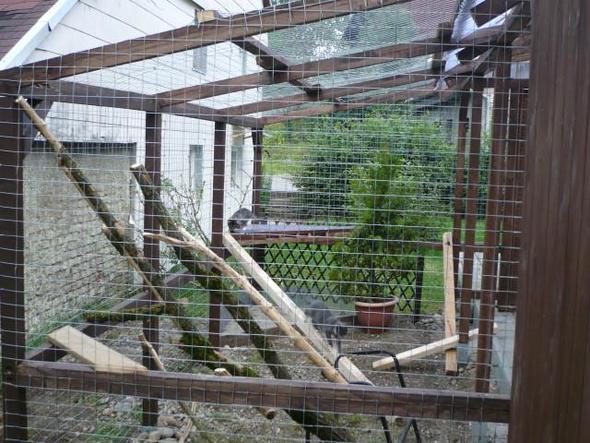 Noch nicht bepflanzt - (Katzen, Garten, Sicherheit)