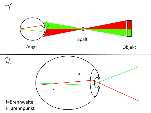 Umgedrehtes Bild, nur wo liegt der Brennpunkt? (Schule, Physik, Augen)