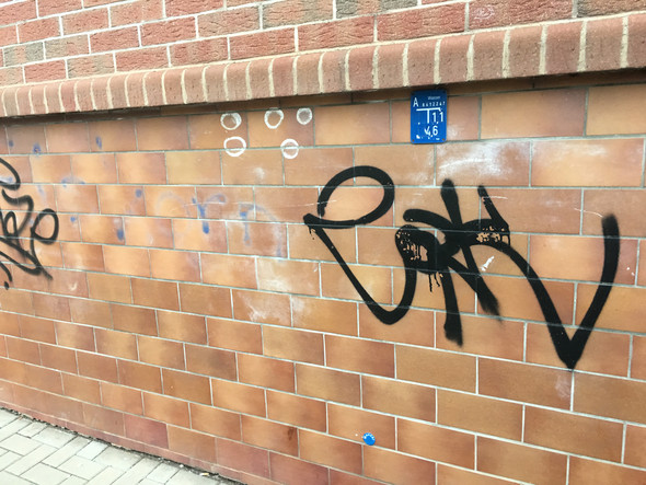 Bild zum Beitrag