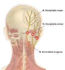 Ziehen Leichtes Stechen Am Hinterkopf Immer Selbe Stelle Gesundheit Und Medizin Kopfschmerzen Hinterkopfschmerzen Ziehen Leichtes Stechen Am Hinterkopf Immer Selbe Stelle Gesundheit Und Medizin Kopfschmerzen Hinterkopfschmerzen