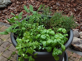 - (Tiere, Pflanzen, Garten)