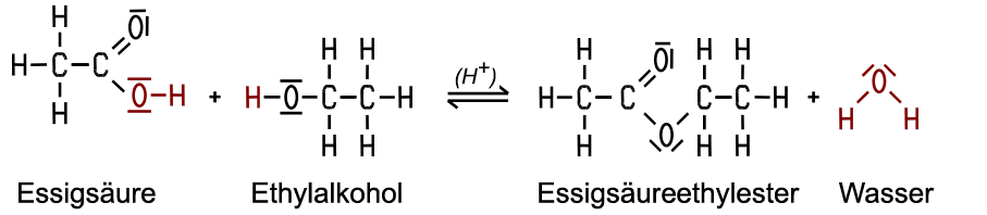 Polykondensation: Säure Alkohol Ester (Duroplasten)? (Schule, Chemie ...