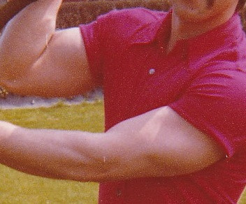 - (Sport, Gesundheit und Medizin, Ernährung)