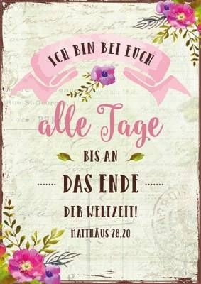 Bild zum Beitrag