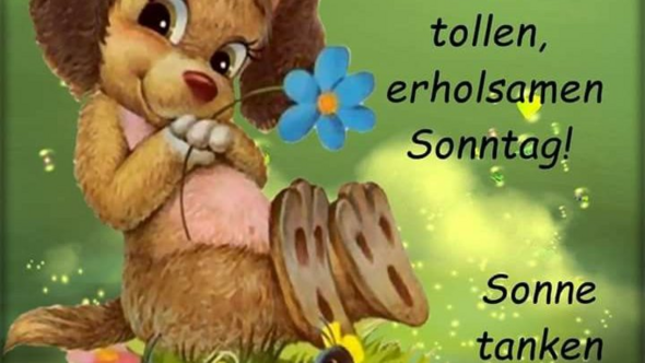 Guten Morgen Heute Zum Sonntag Hab Heut Mal Eine Frage Zum