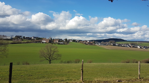 Bild zum Beitrag
