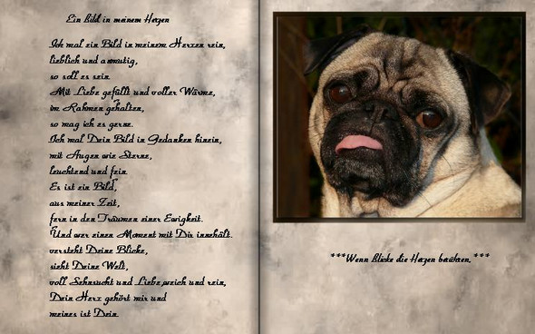 Get Sprueche hund mensch beziehung For iPhone Sprueche Hund Mensch Beziehung