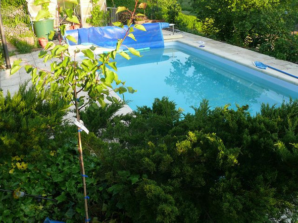 Wie Teuer Ist Es In Seinem Garten Ein Pool Zu Bauen Geld Haus