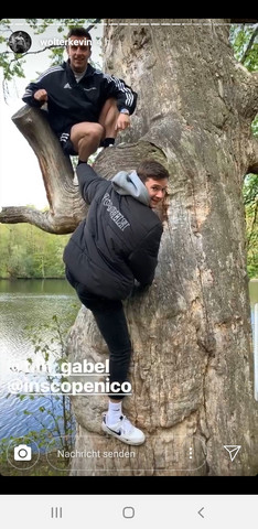 Bild zum Beitrag