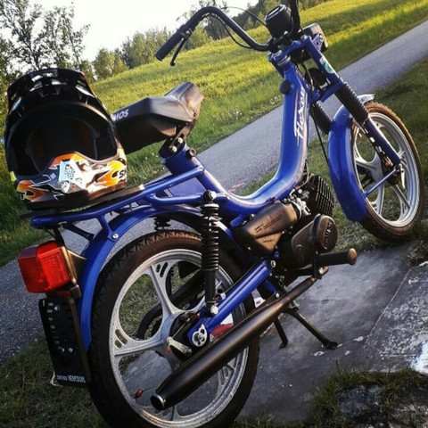 Bild zum Beitrag