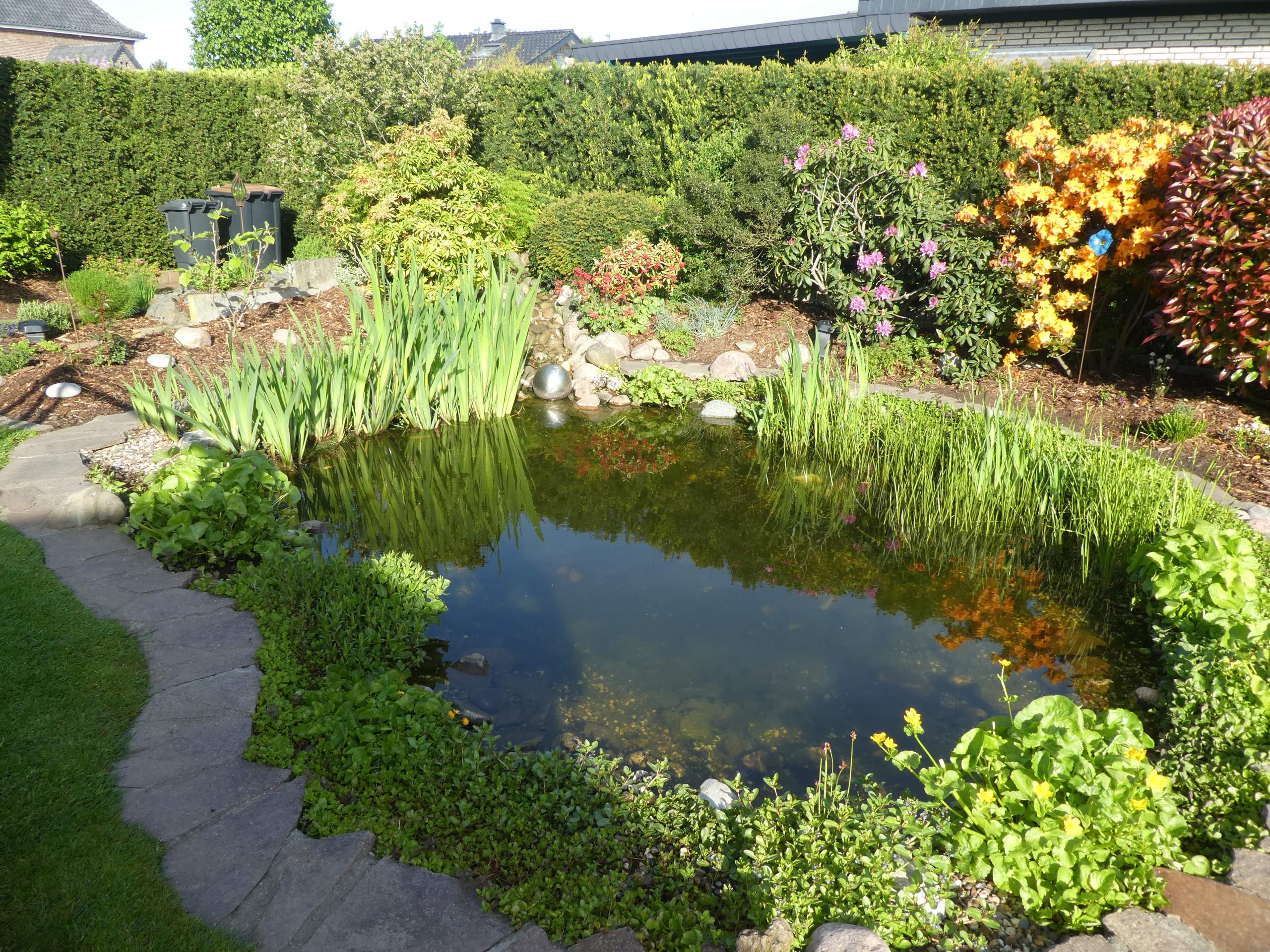 Reiher fernhalten? (Garten, Fische, Teich)