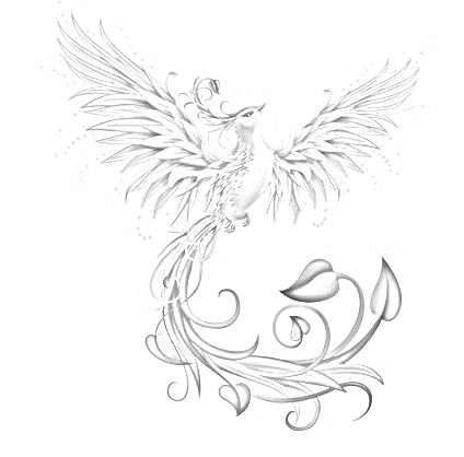 Wie Verwandle Ich Ein Farbbild In Eine Bleistiftzeichnung