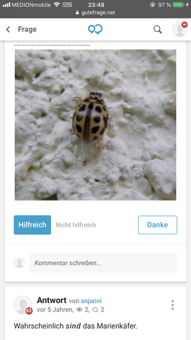 - (Tiere, Angst, Männer)