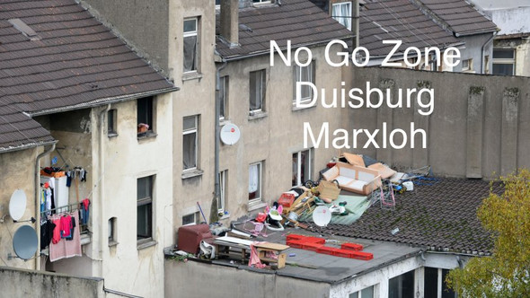 Bild zum Beitrag