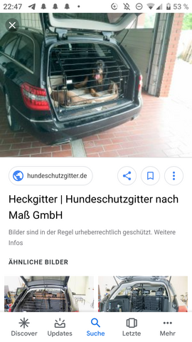 Suche Ein Hunde Gitter Um Den Kofferraum Aufzulassen Auto Auto Und Motorrad Hund