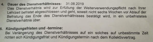 Bild zum Beitrag
