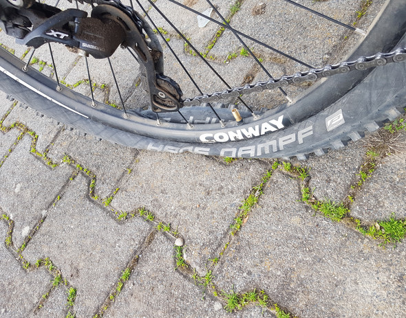 Bild zum Beitrag