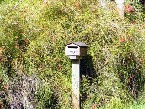 Briefkasten oder Vogelhäuschen? - (Recht, Zustellung, Briefzustellung)
