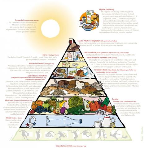 Vegetarische Lebensmittel Pyramide - (Vegetarismus)
