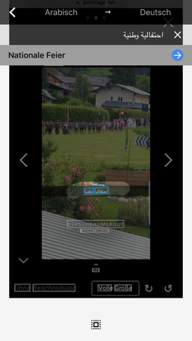 Bild zum Beitrag