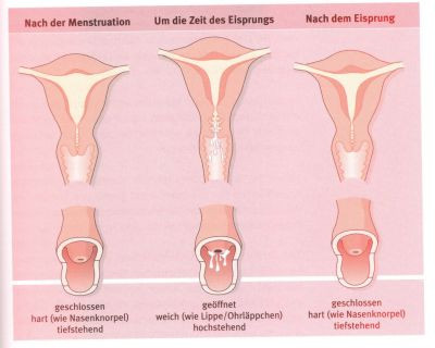 Schmerzen Wenn Er Zu Tief Rein Geht Gesundheit Und Medizin Liebe Sex Schmerzen Wenn Er Zu Tief Rein Geht Gesundheit Und Medizin Liebe Sex